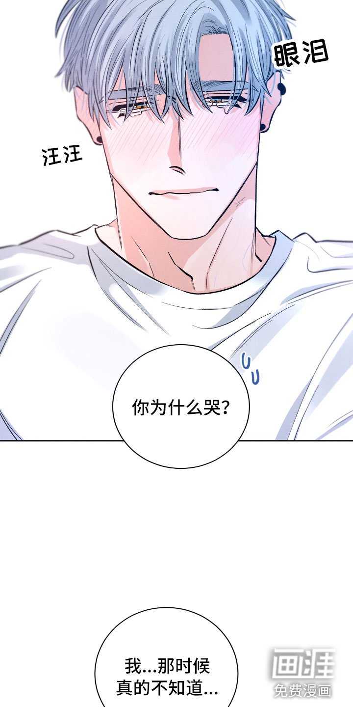 第16章：你是我的