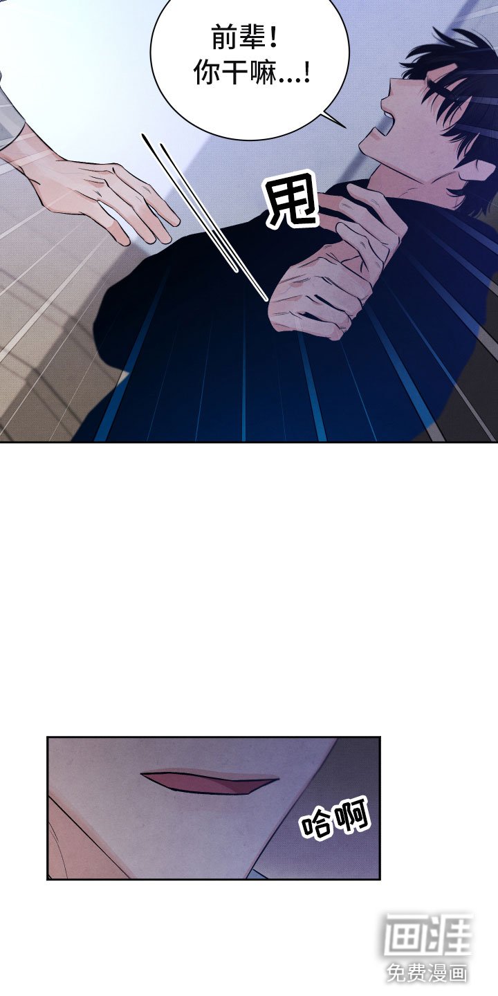 第17章：你选谁？