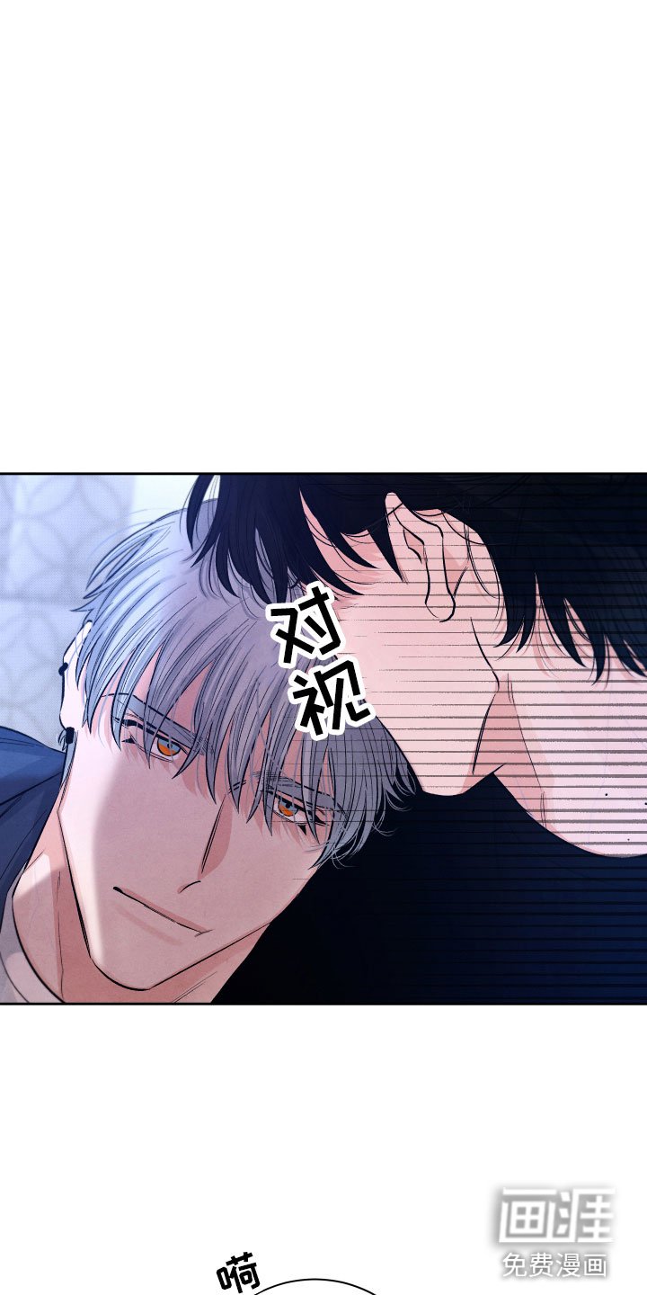 第8章：一起去吧
