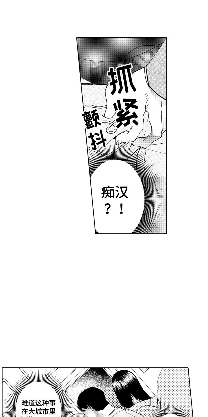 第1章：电车色狼