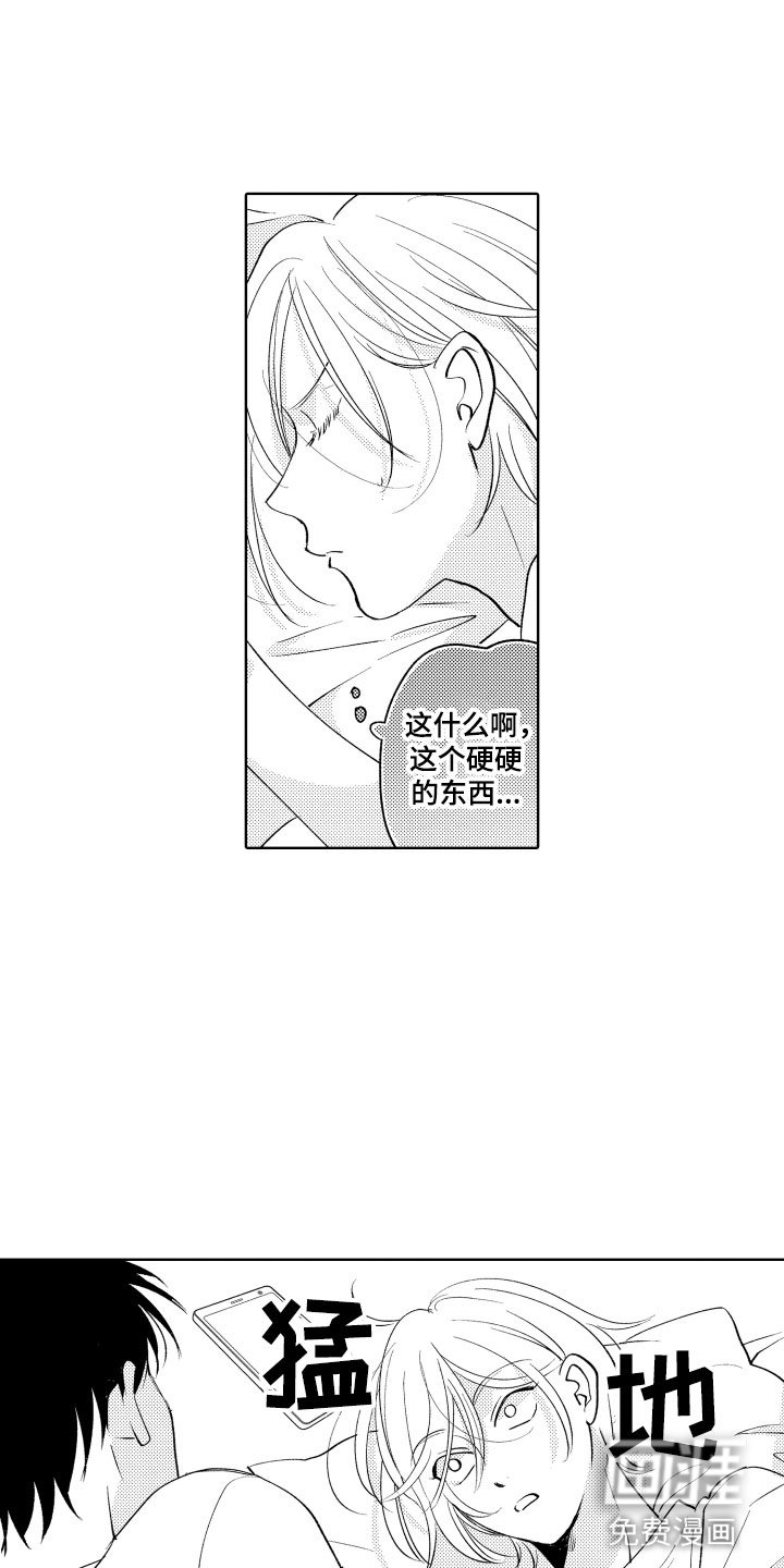 第12章：不可抗力