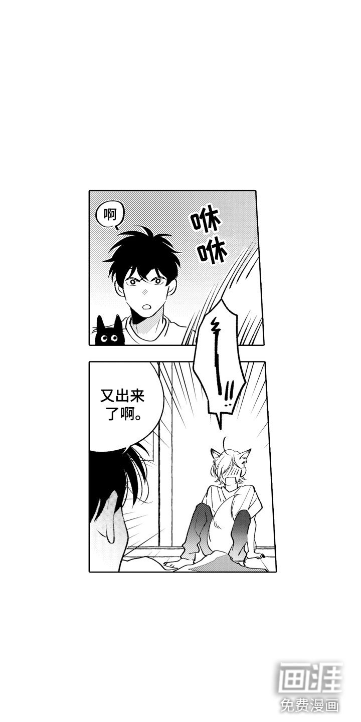 第12章：不可抗力