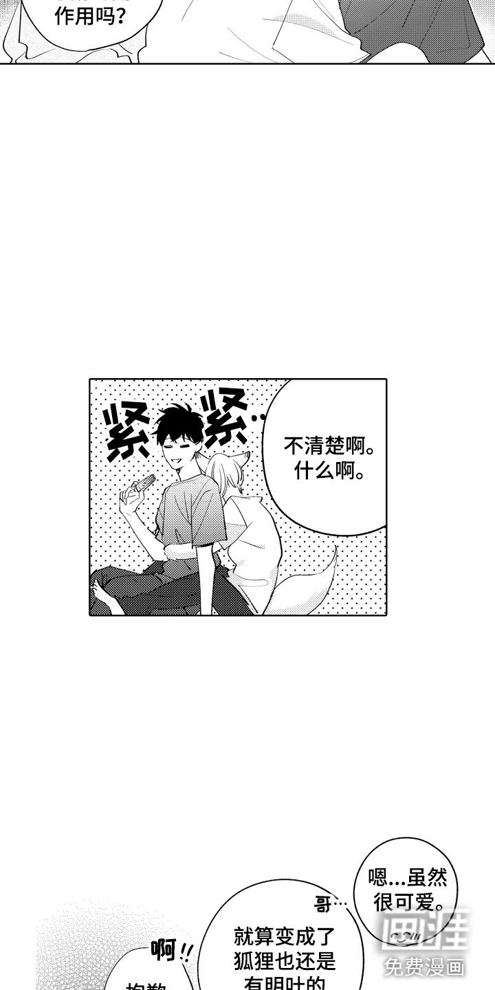 第16章：可爱的奖励