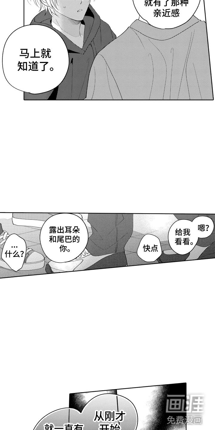第24章：选择我吧