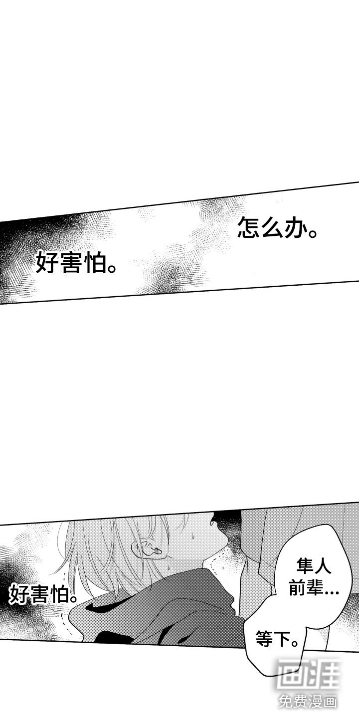 第24章：选择我吧