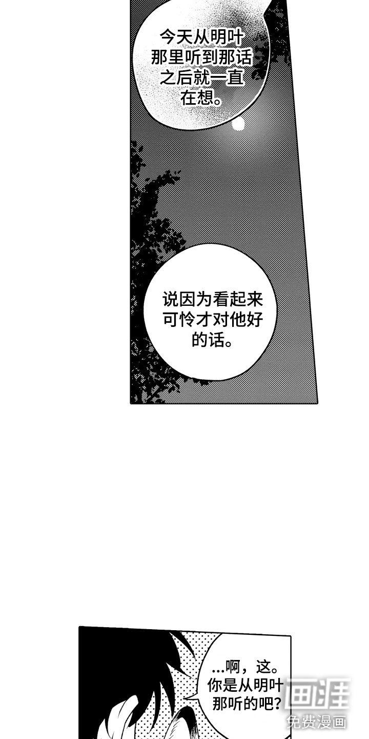 第26章：喜欢你