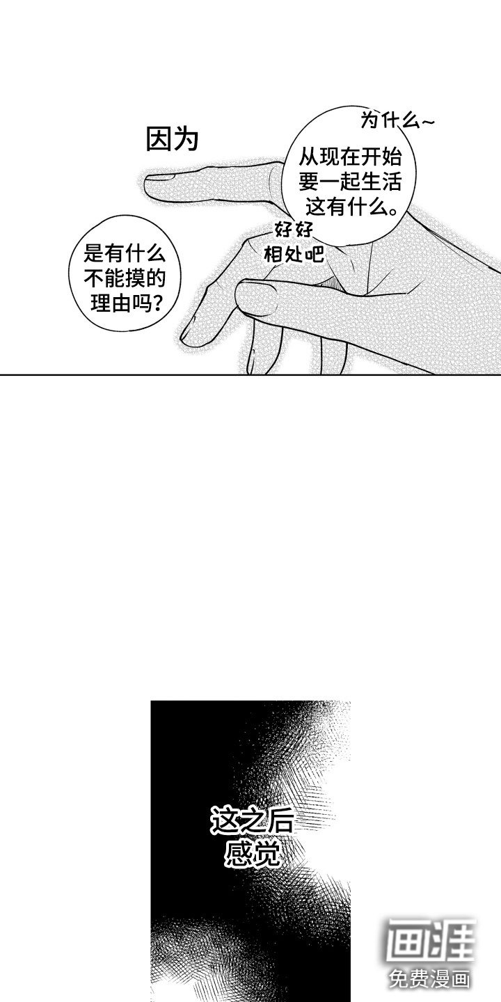第4章：不能摸