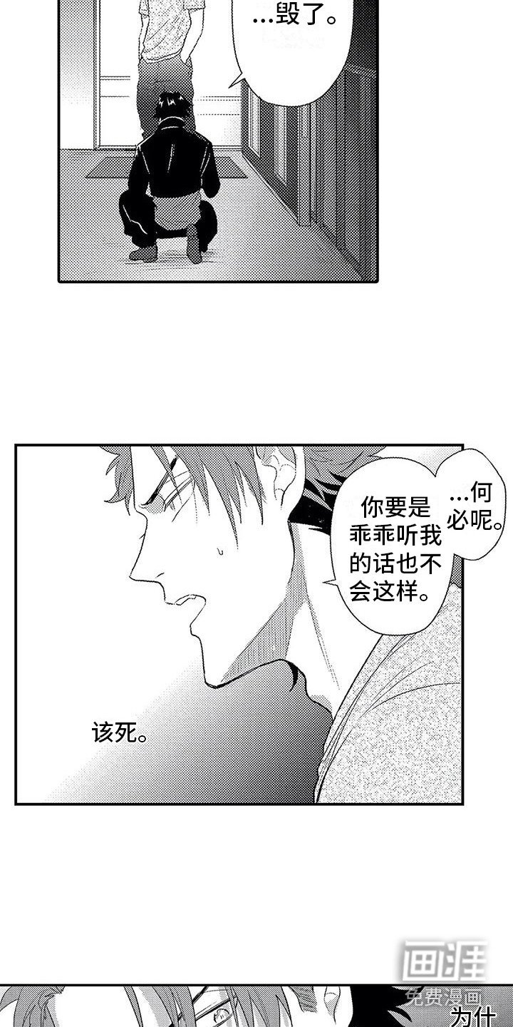 第15章：心意