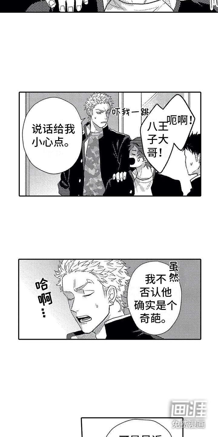 第17章：印在脑海