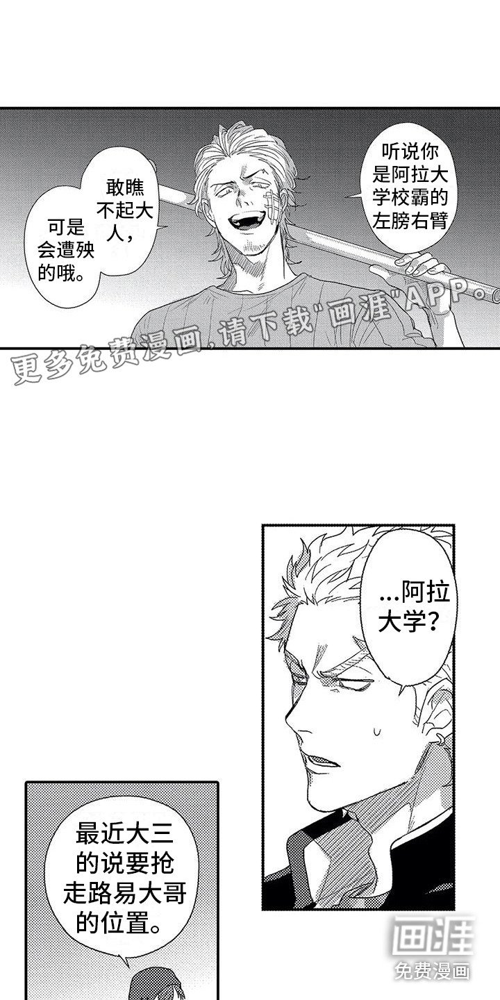 第19章：偶遇