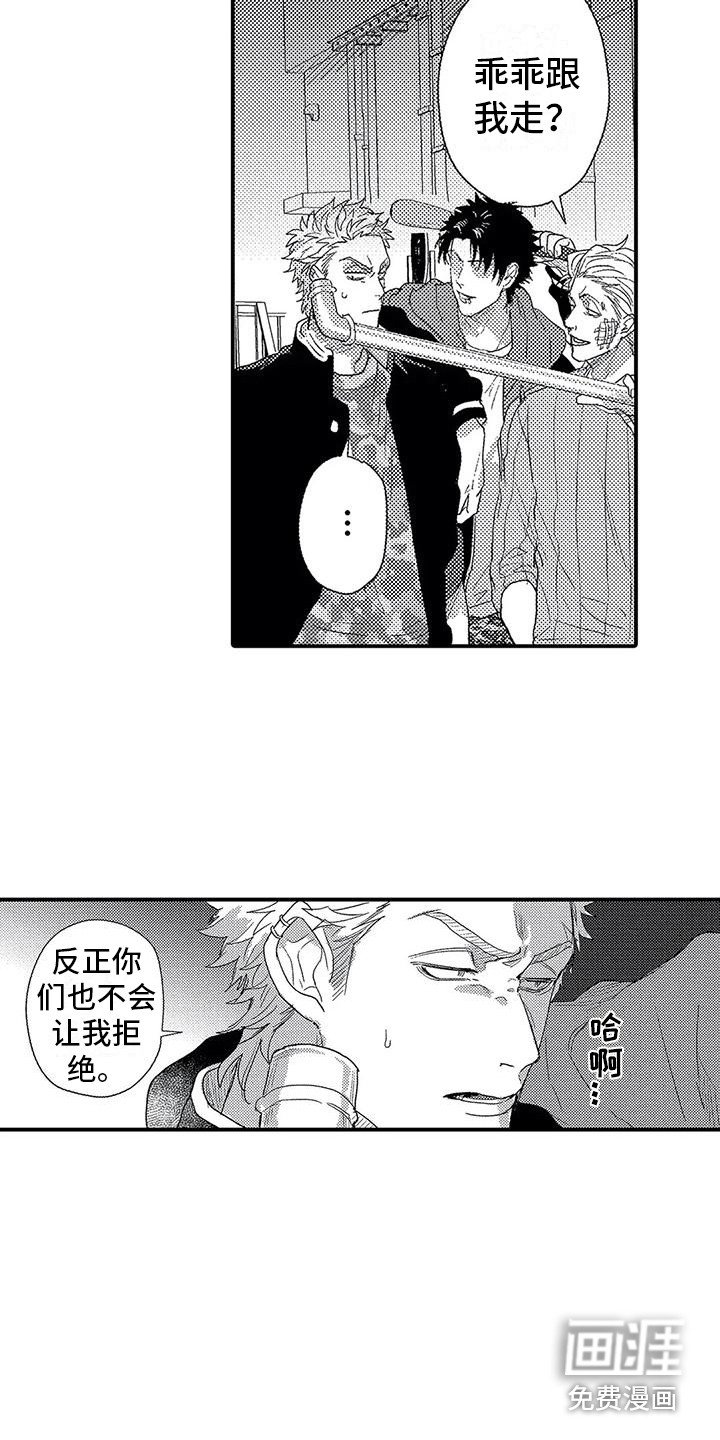 第19章：偶遇