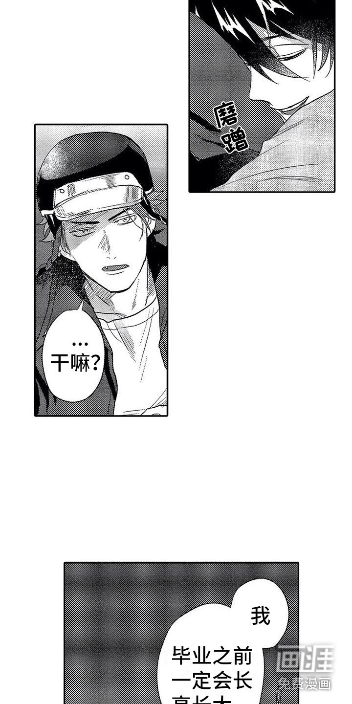 第26章：表白