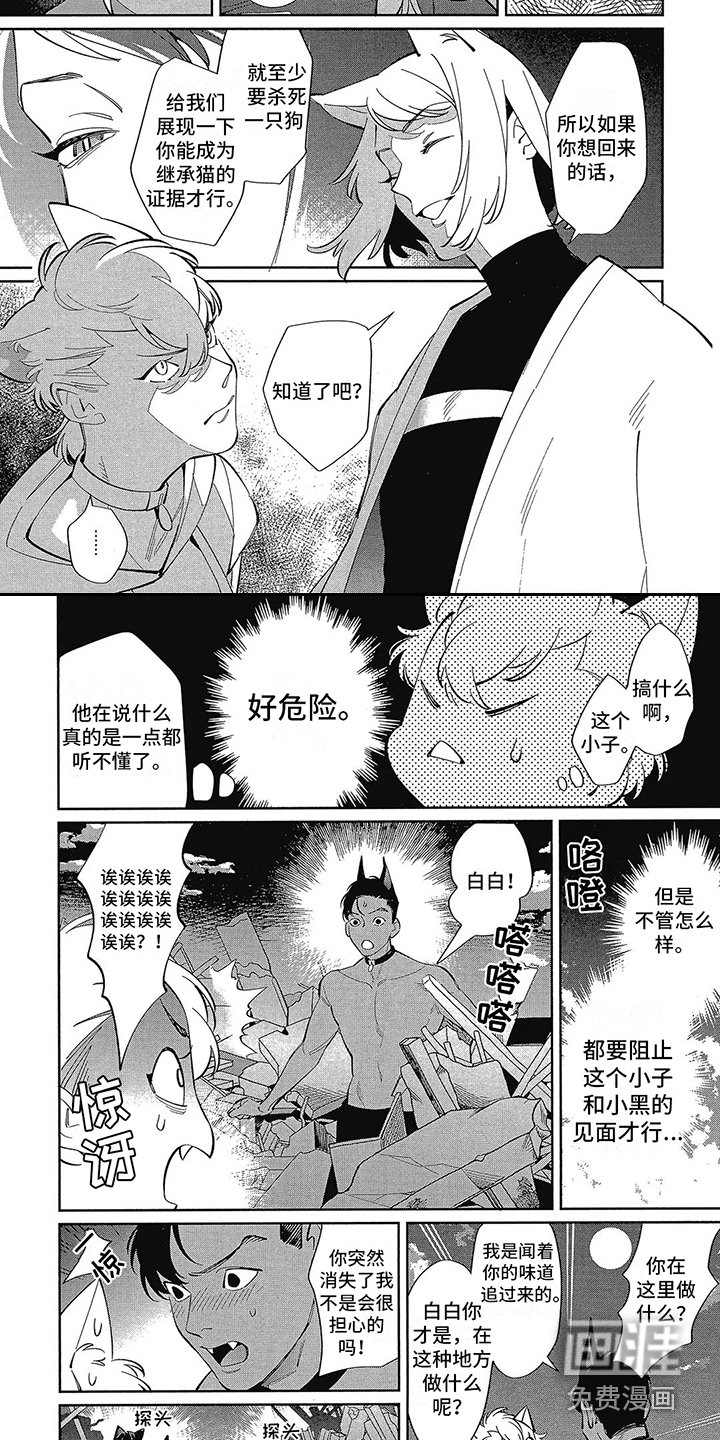 第13章：抉择