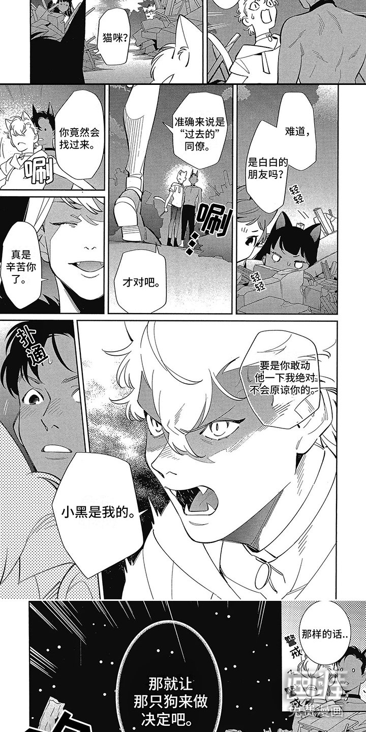 第13章：抉择