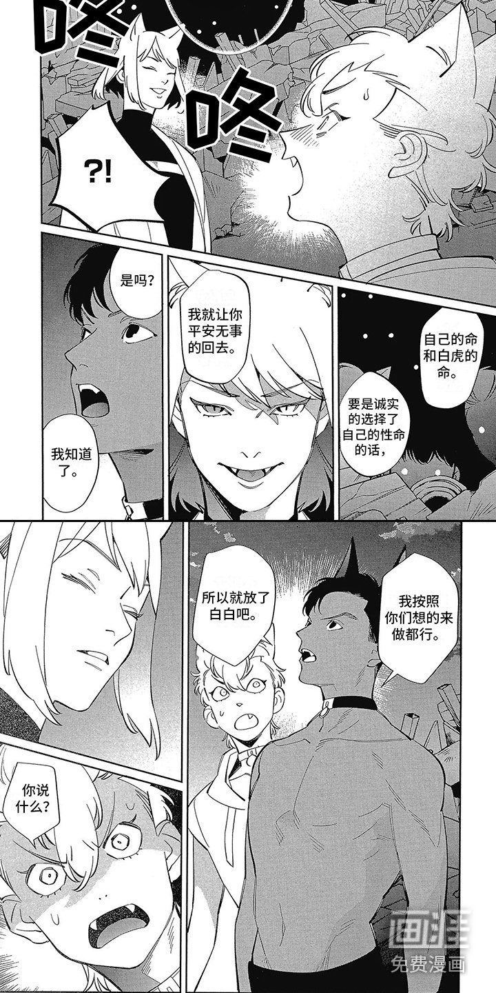 第13章：抉择
