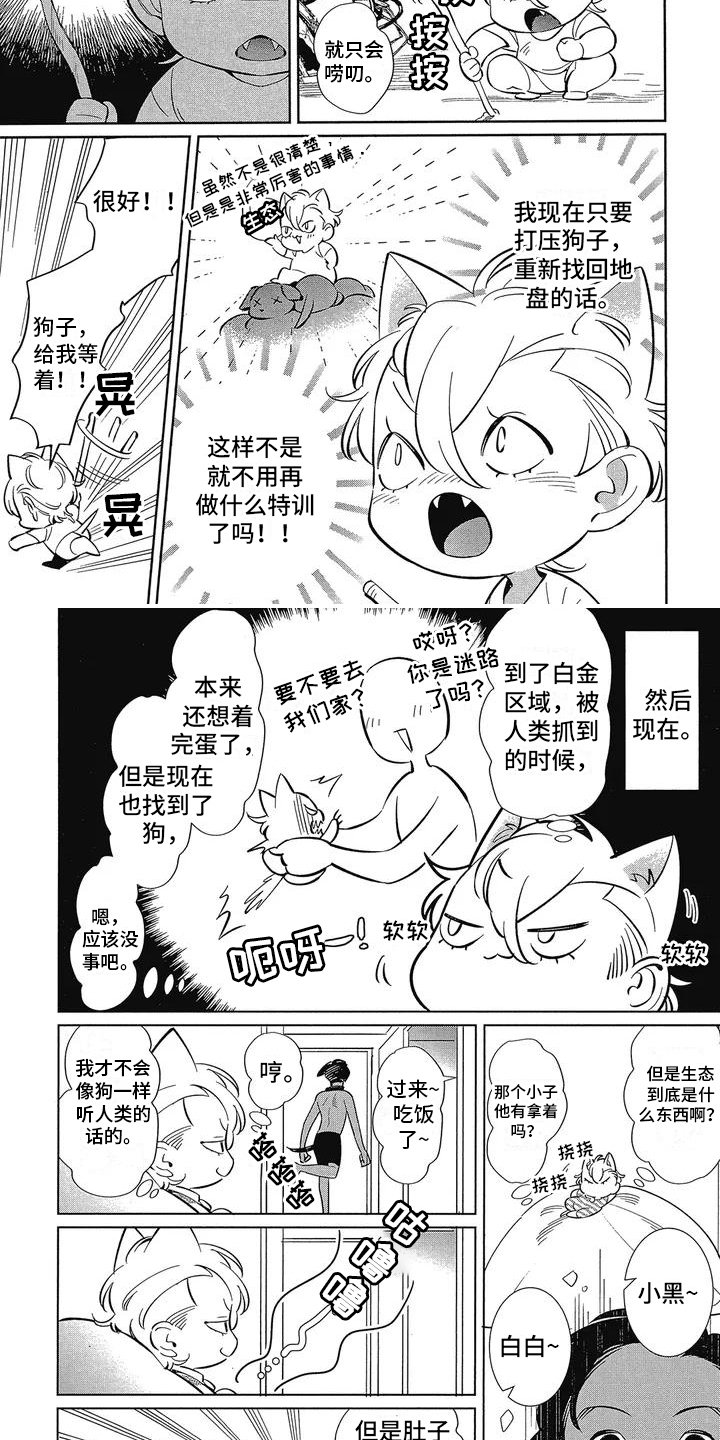 第2章：桀骜不驯