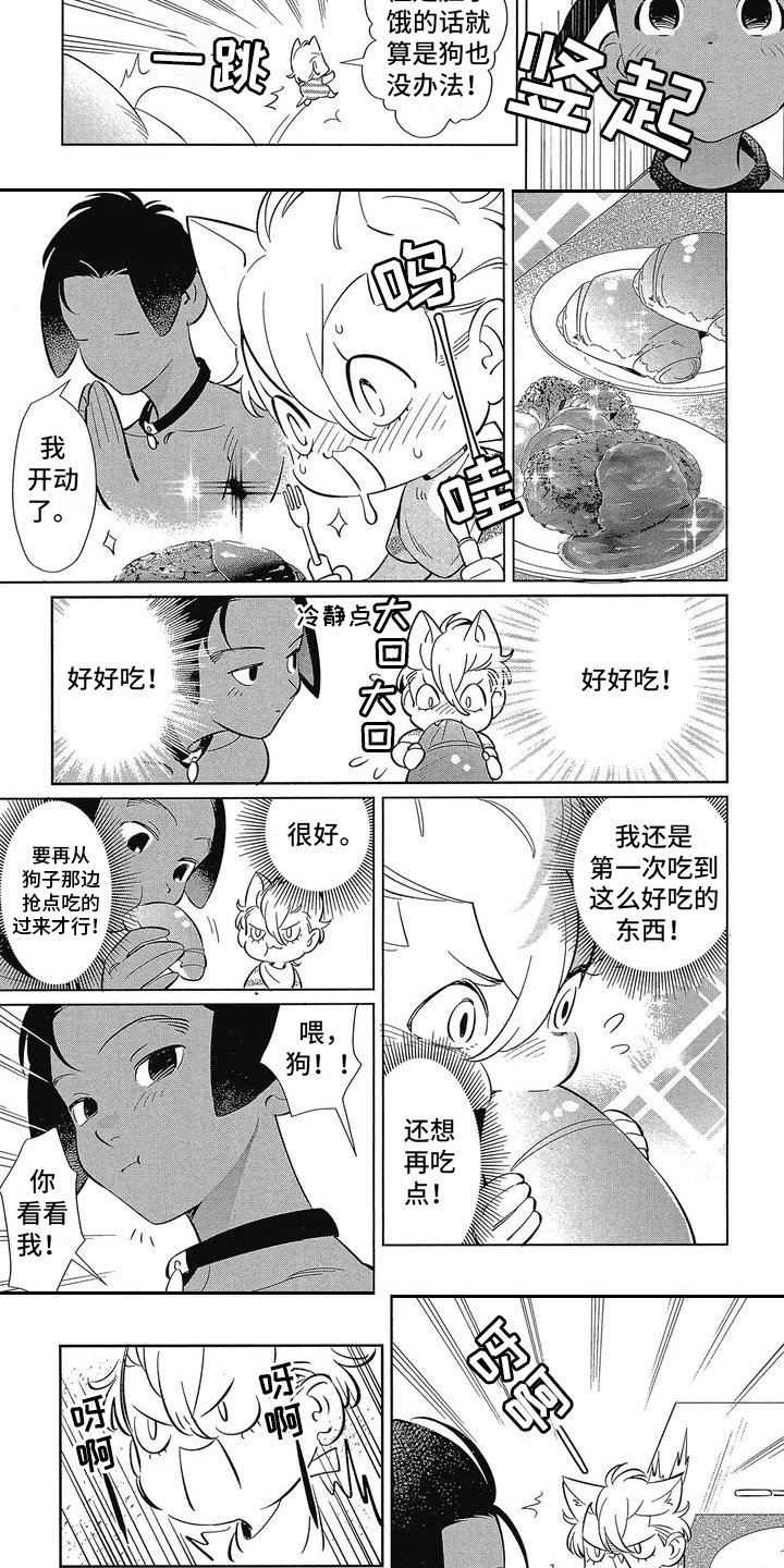 第2章：桀骜不驯