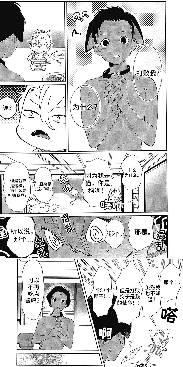 第3章：更好的东西