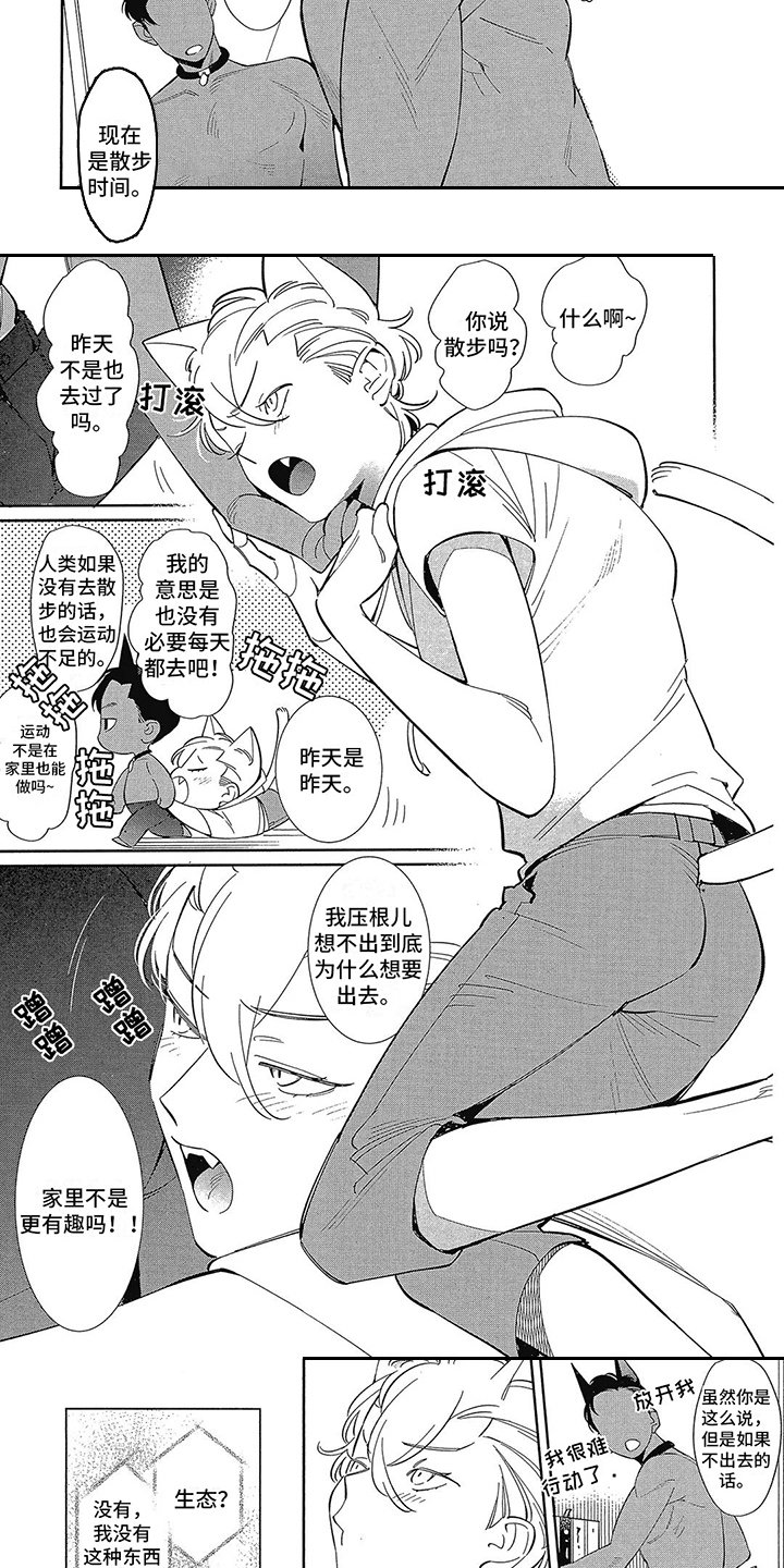 第3章：更好的东西