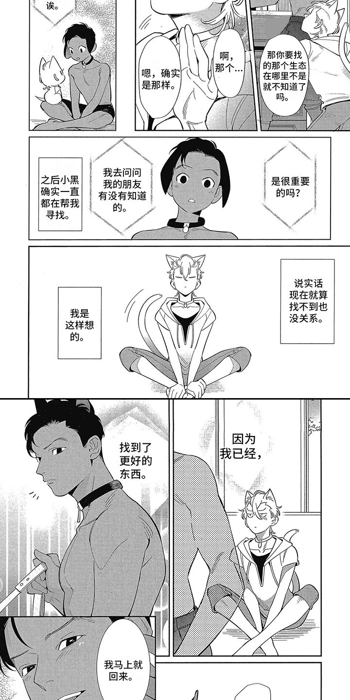 第3章：更好的东西