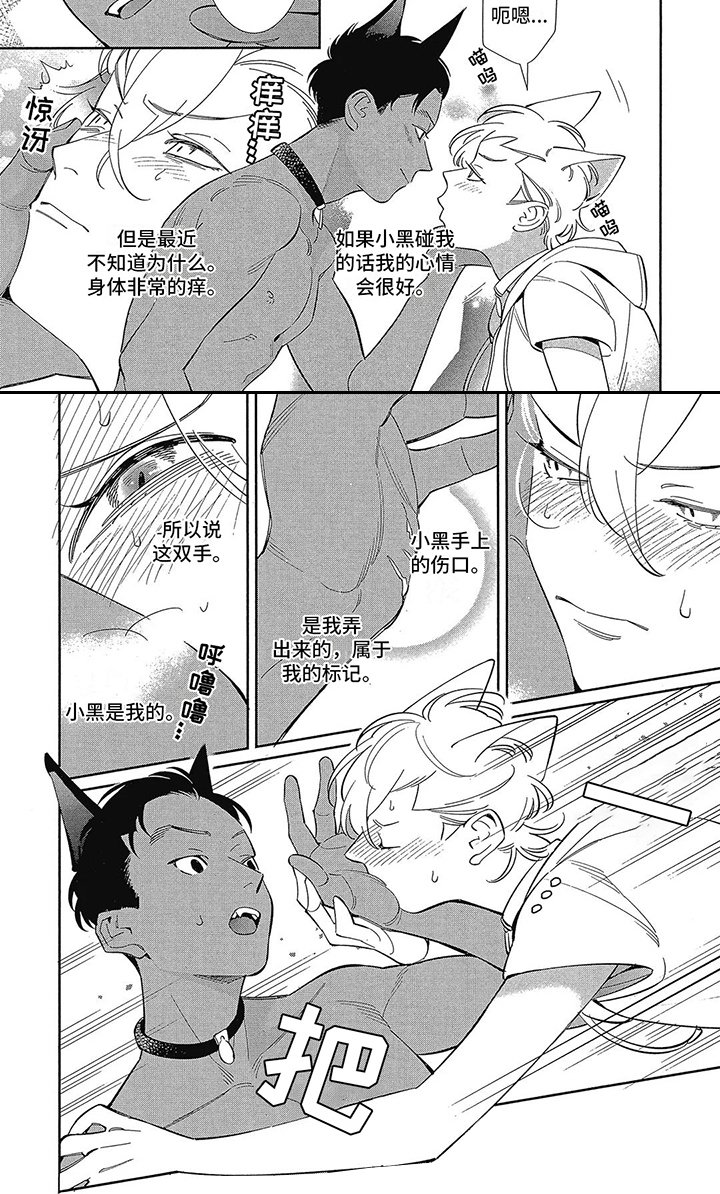 第3章：更好的东西