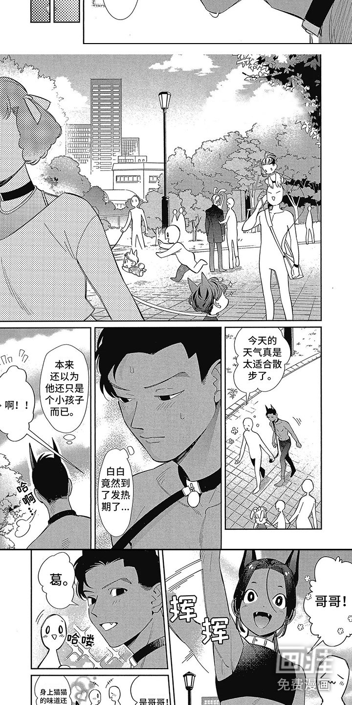 第4章：散步