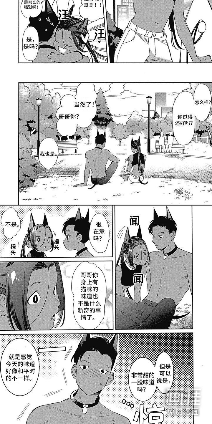 第4章：散步