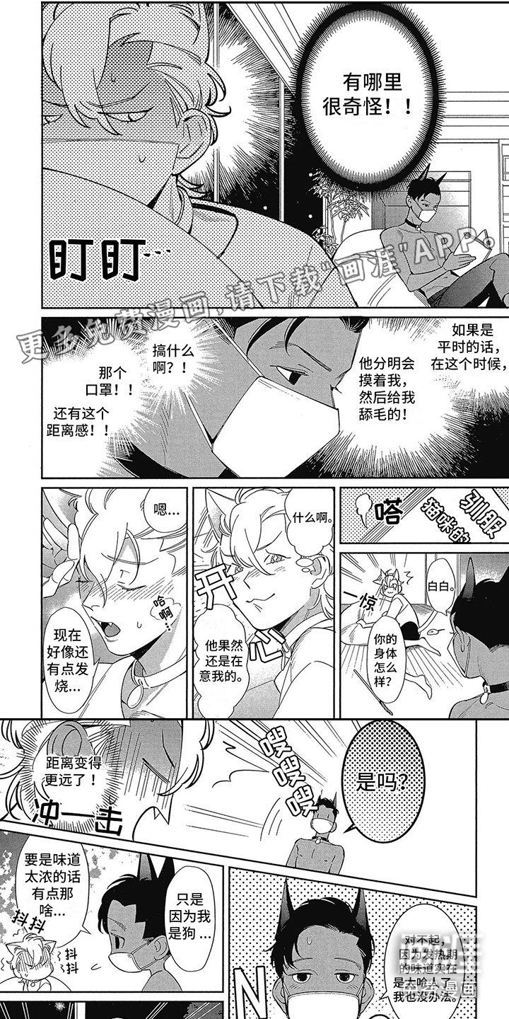 第5章：不安定