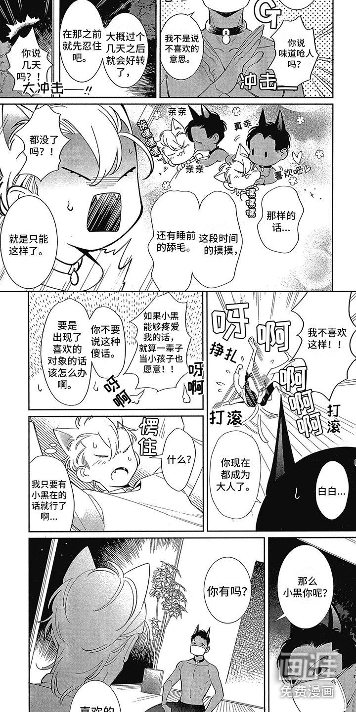 第5章：不安定