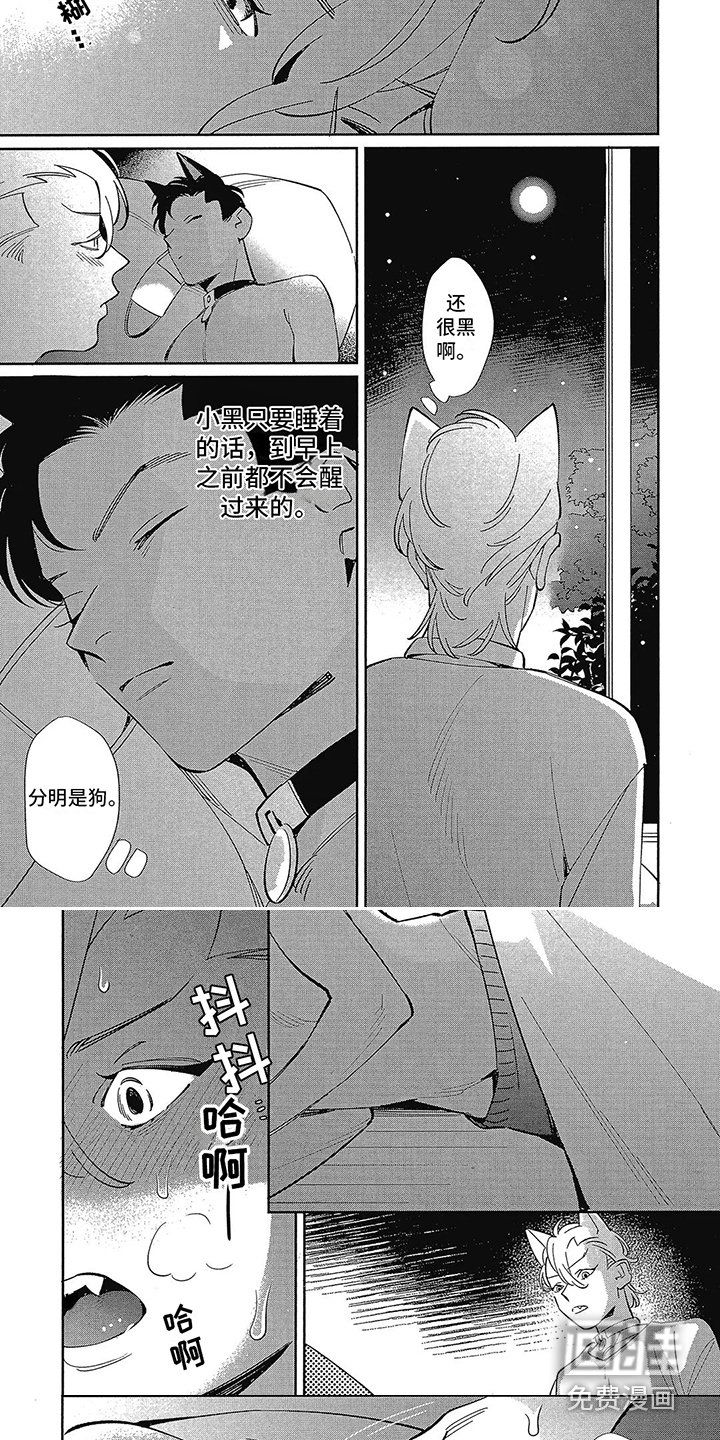 第5章：不安定
