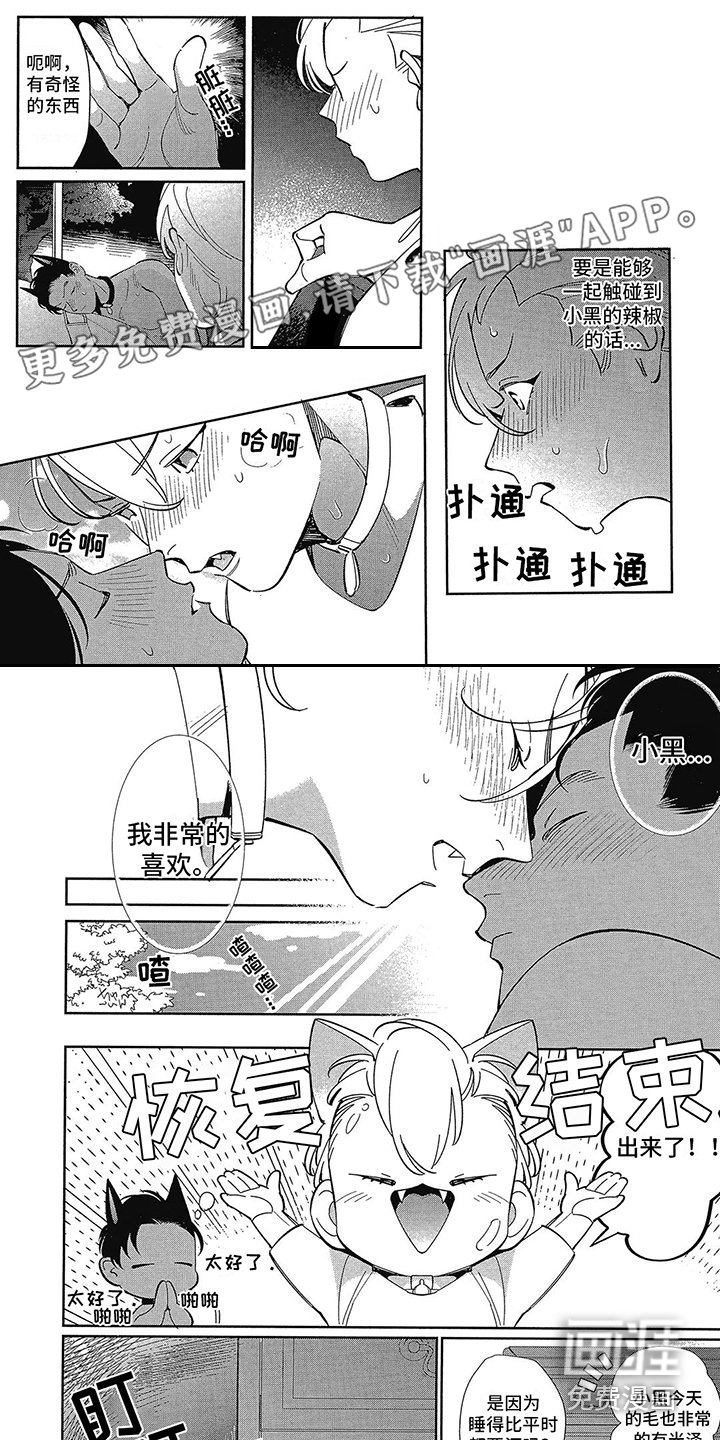 第6章：偷拍 