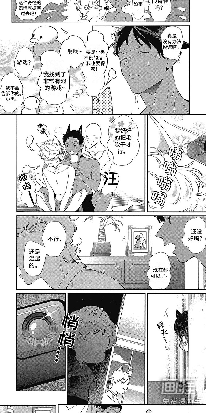 第6章：偷拍 