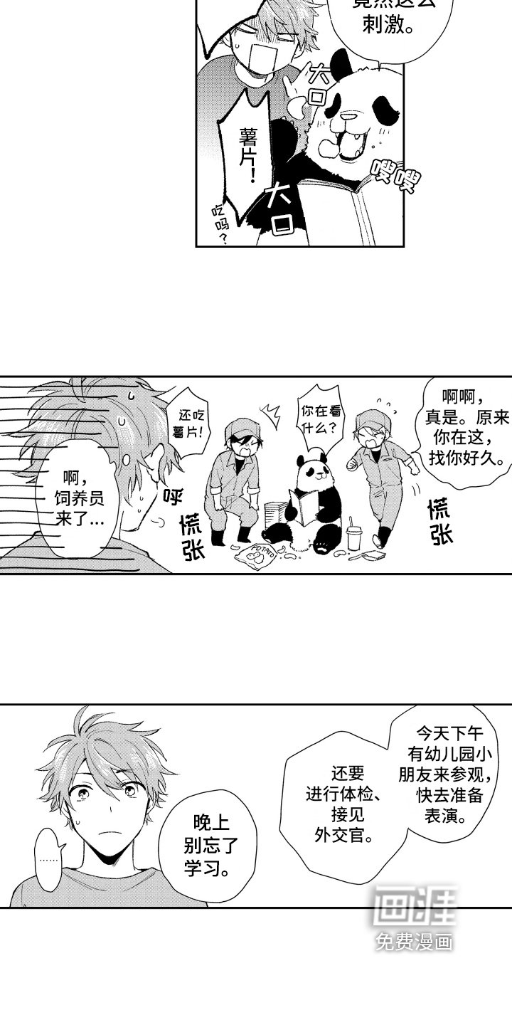 第17章：重要