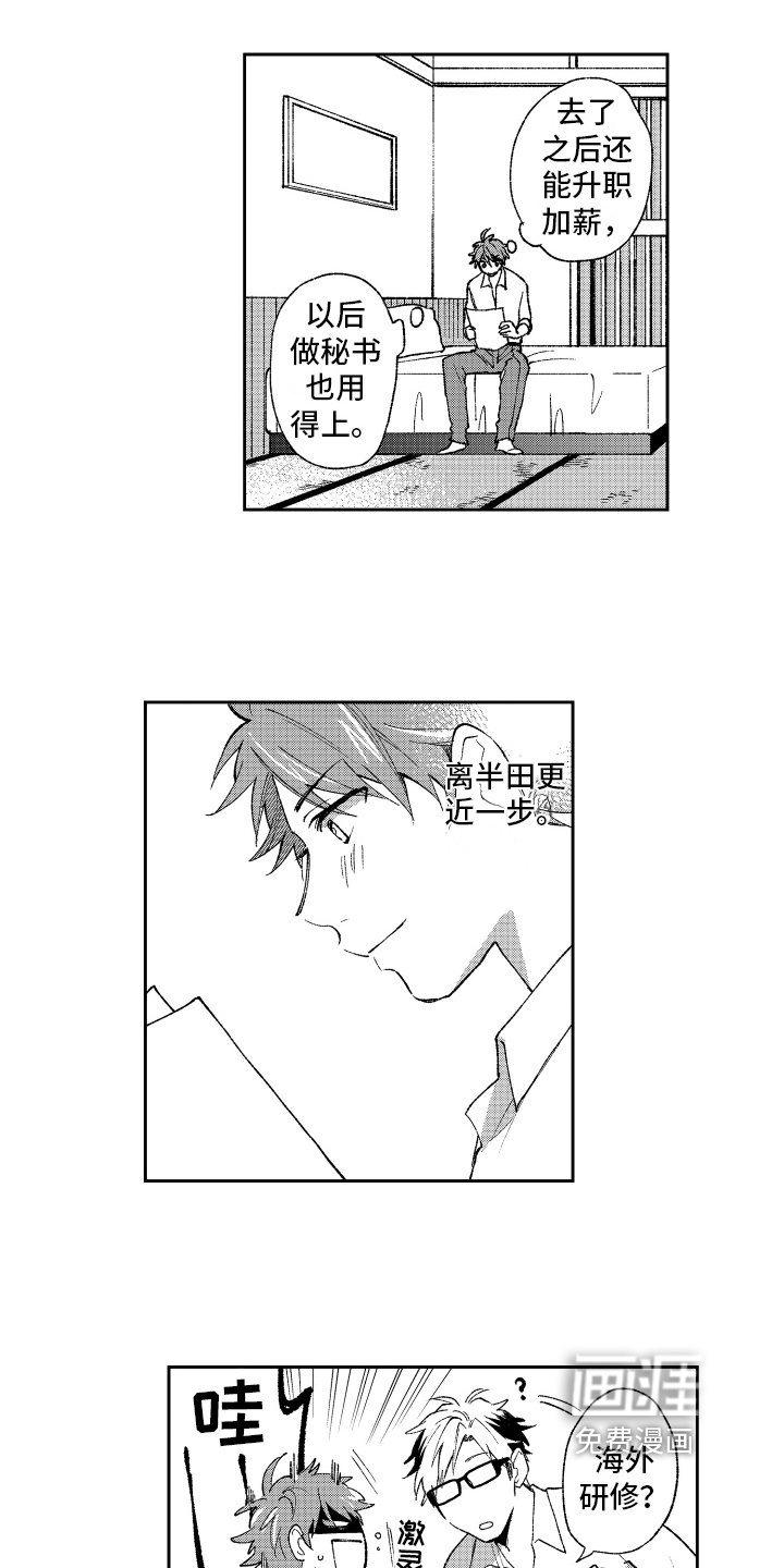 第20章：惊喜【完结】