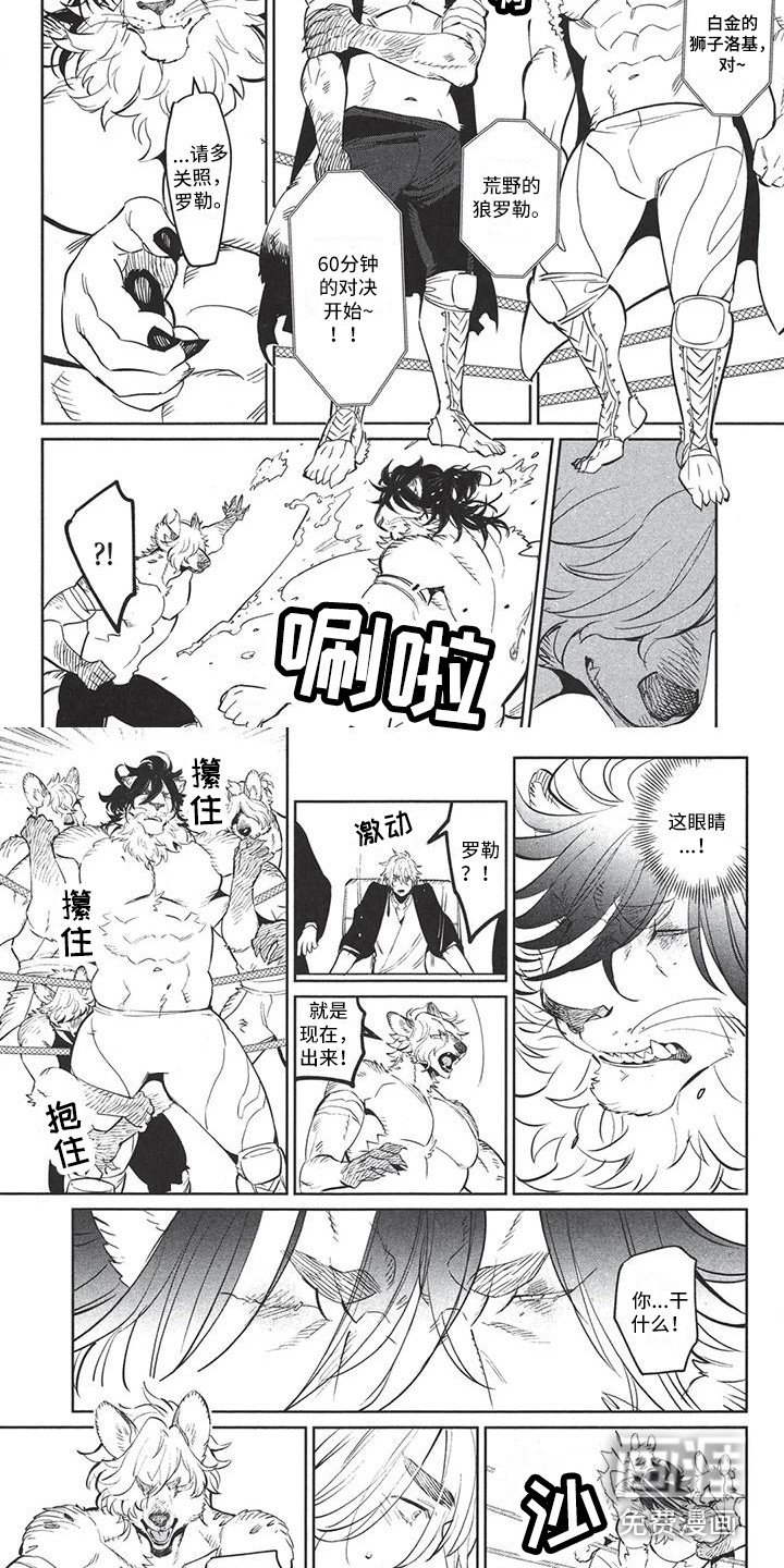 第5章：不会背叛