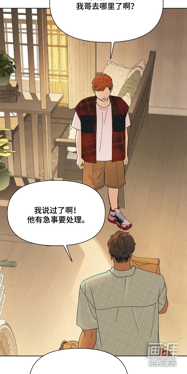 第17章：苹果