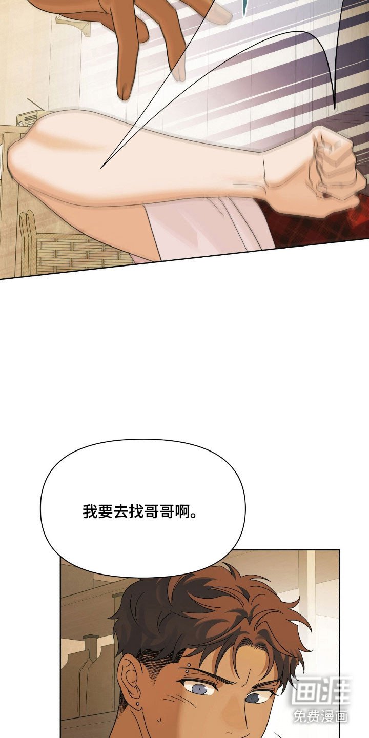 第17章：苹果
