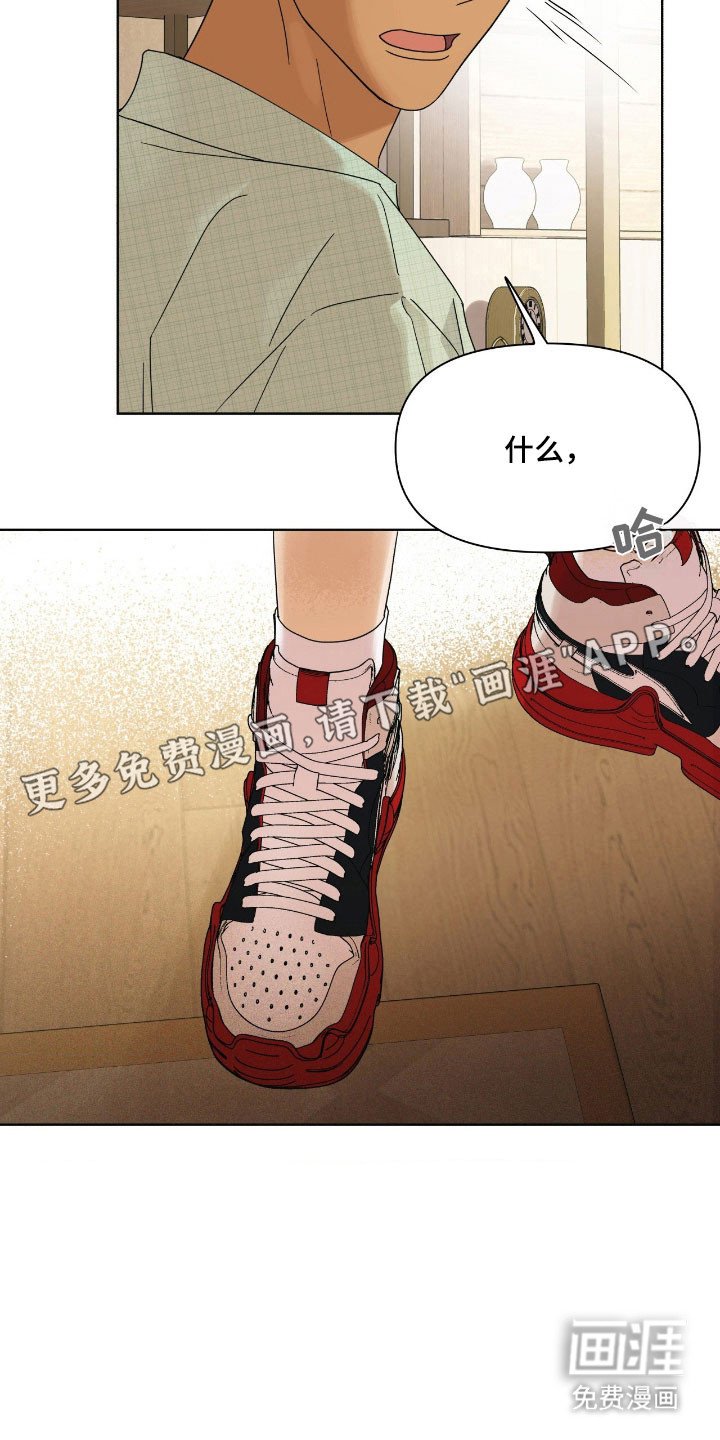 第17章：苹果