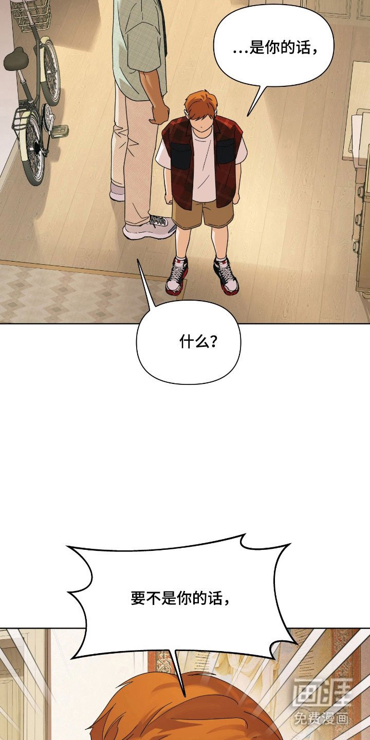 第17章：苹果