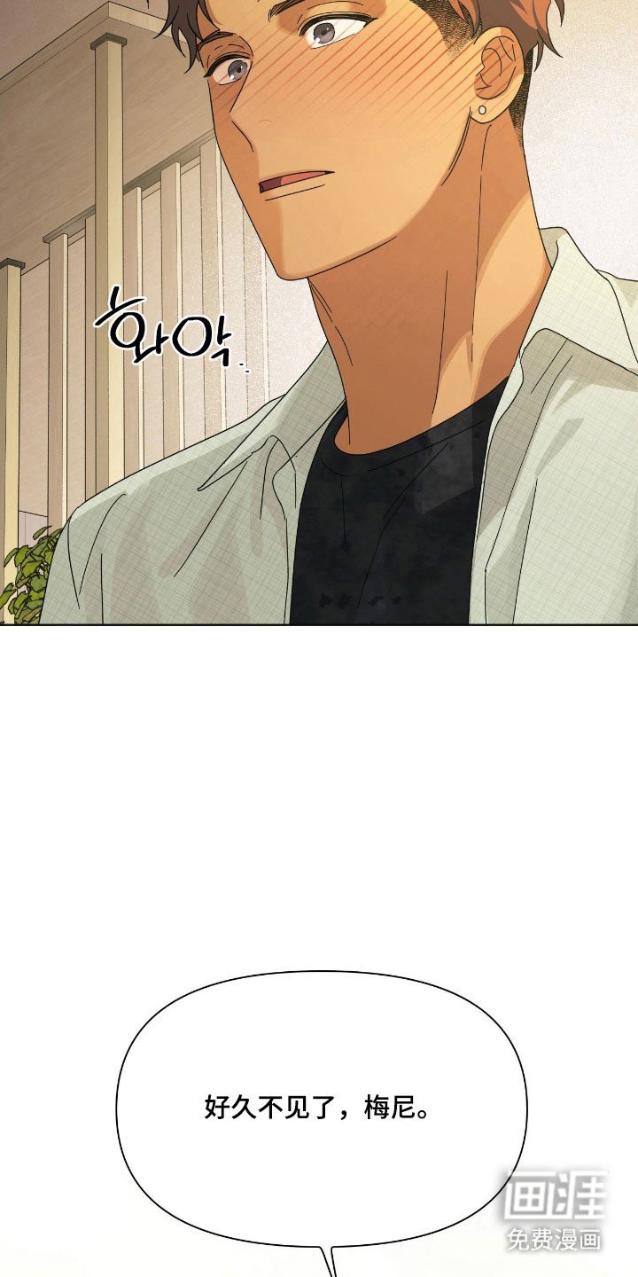 第17章：苹果