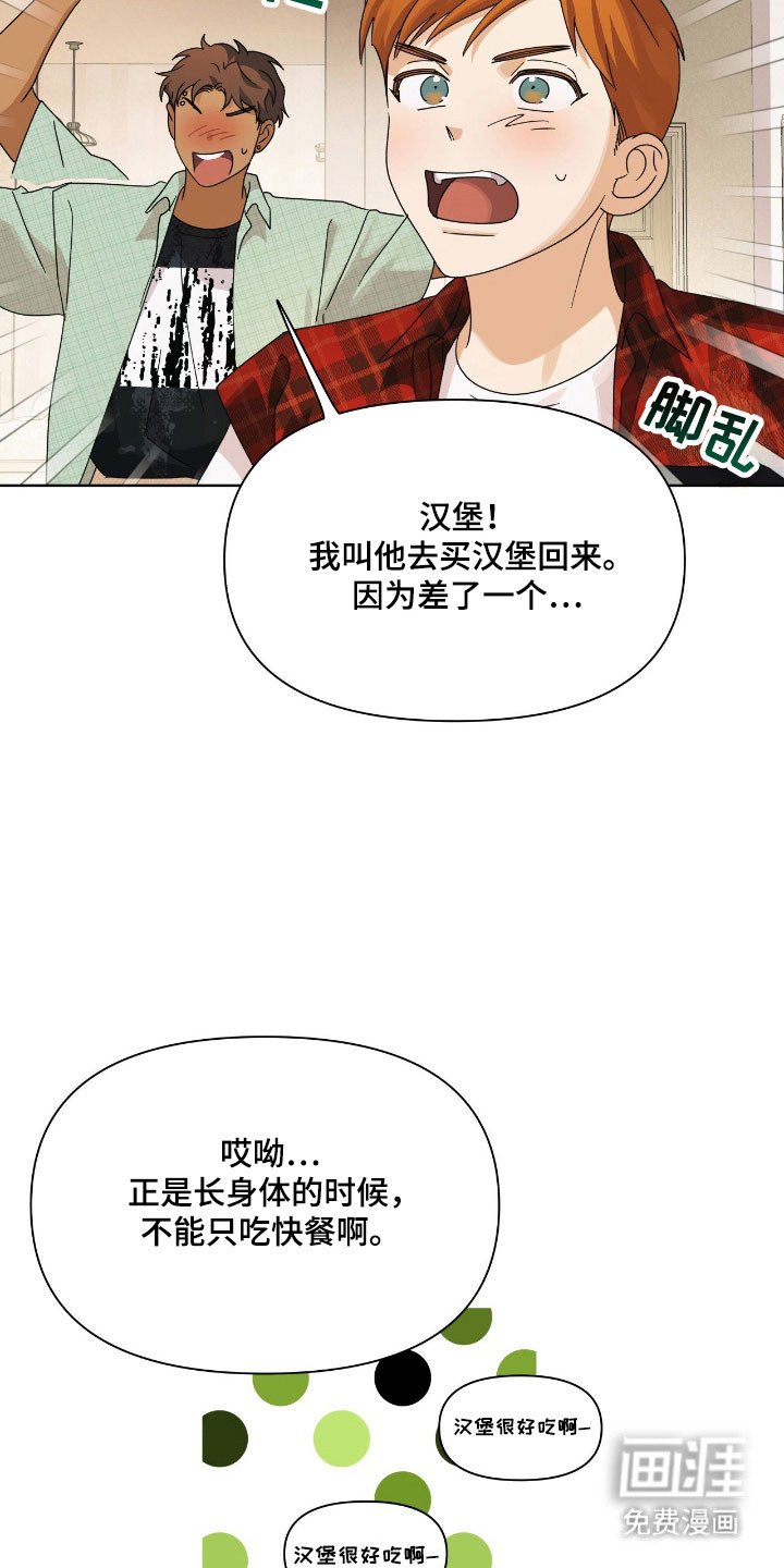 第17章：苹果