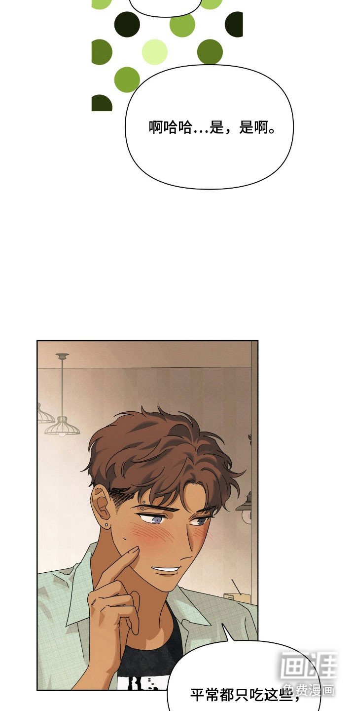 第17章：苹果