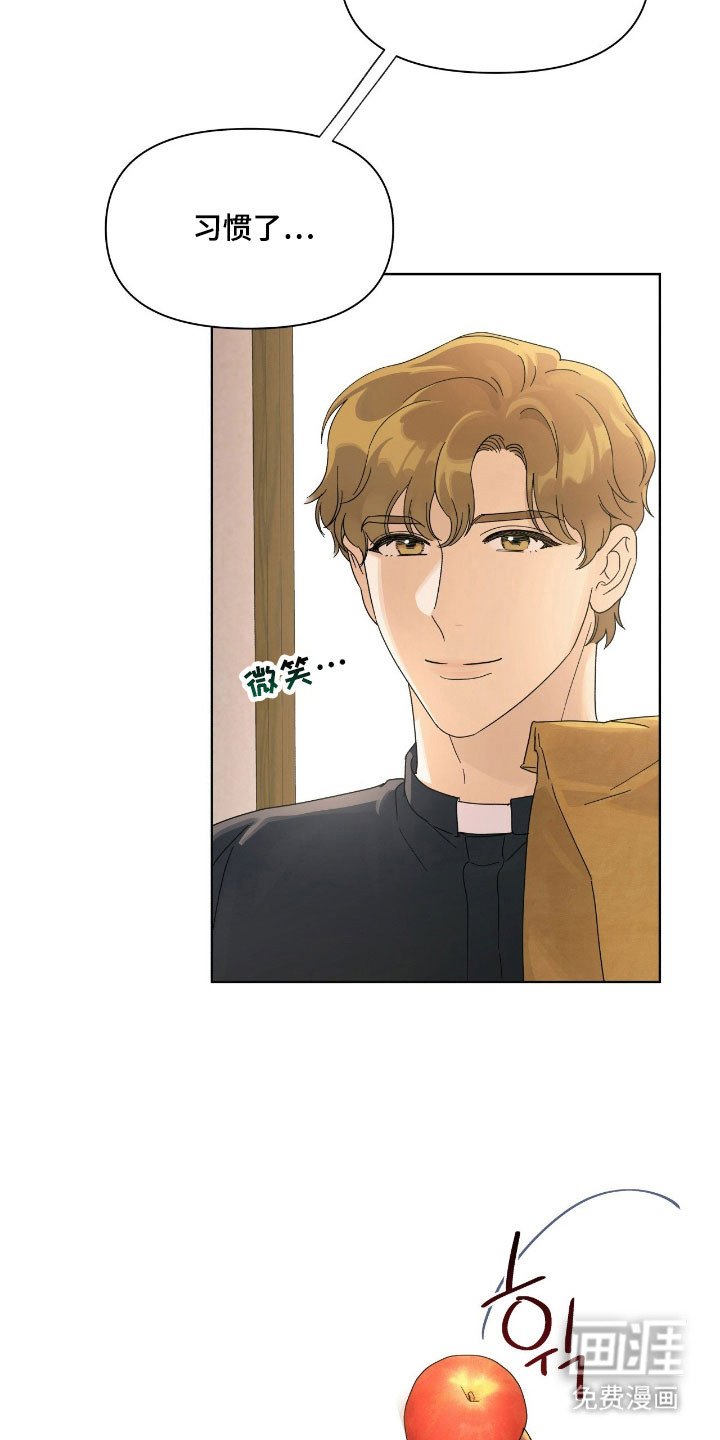 第17章：苹果