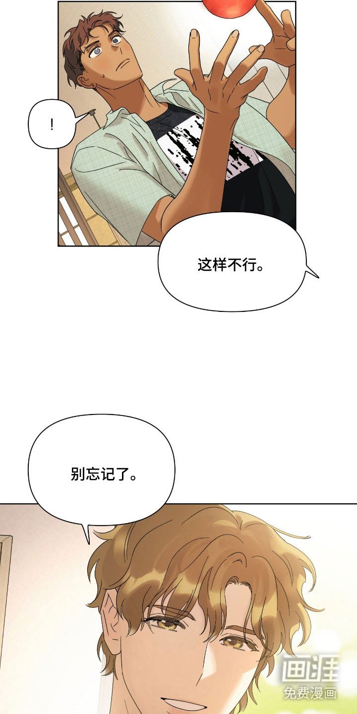 第17章：苹果