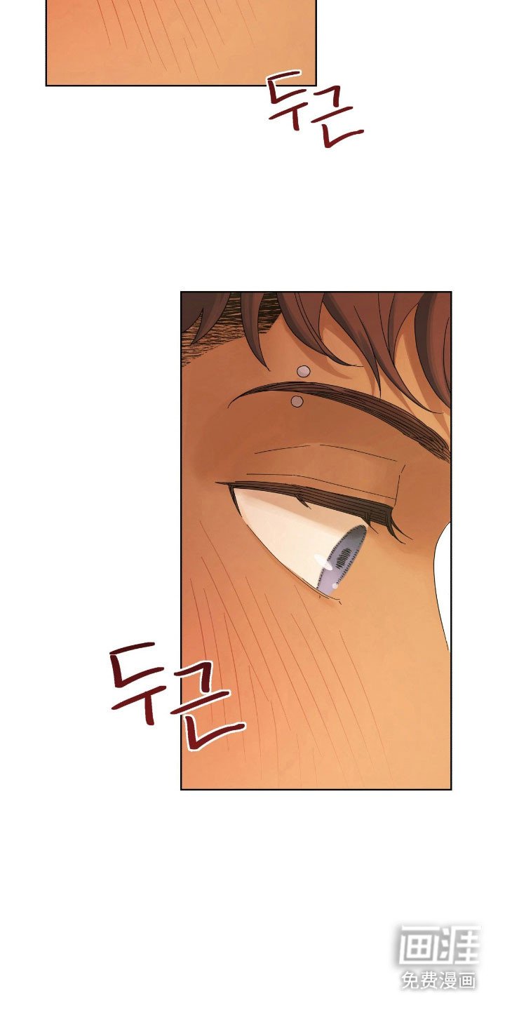 第17章：苹果