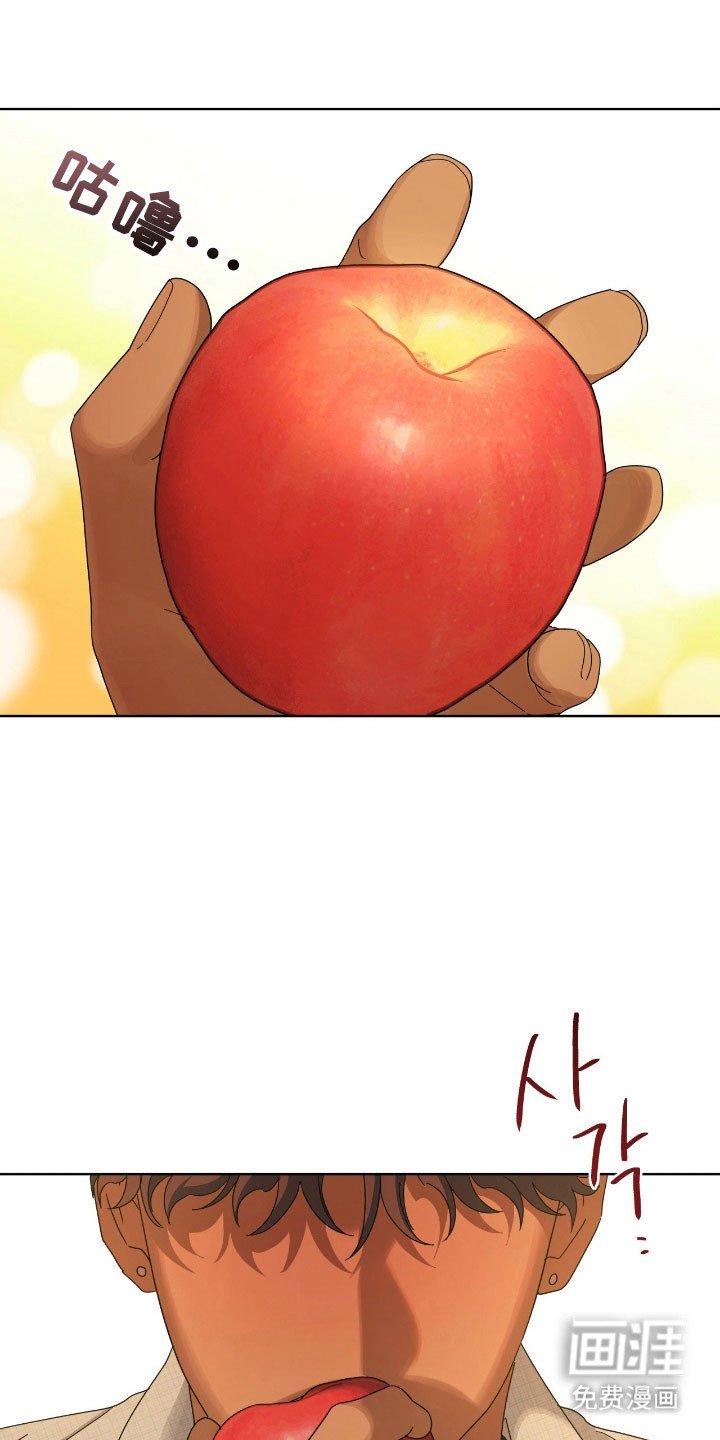 第17章：苹果