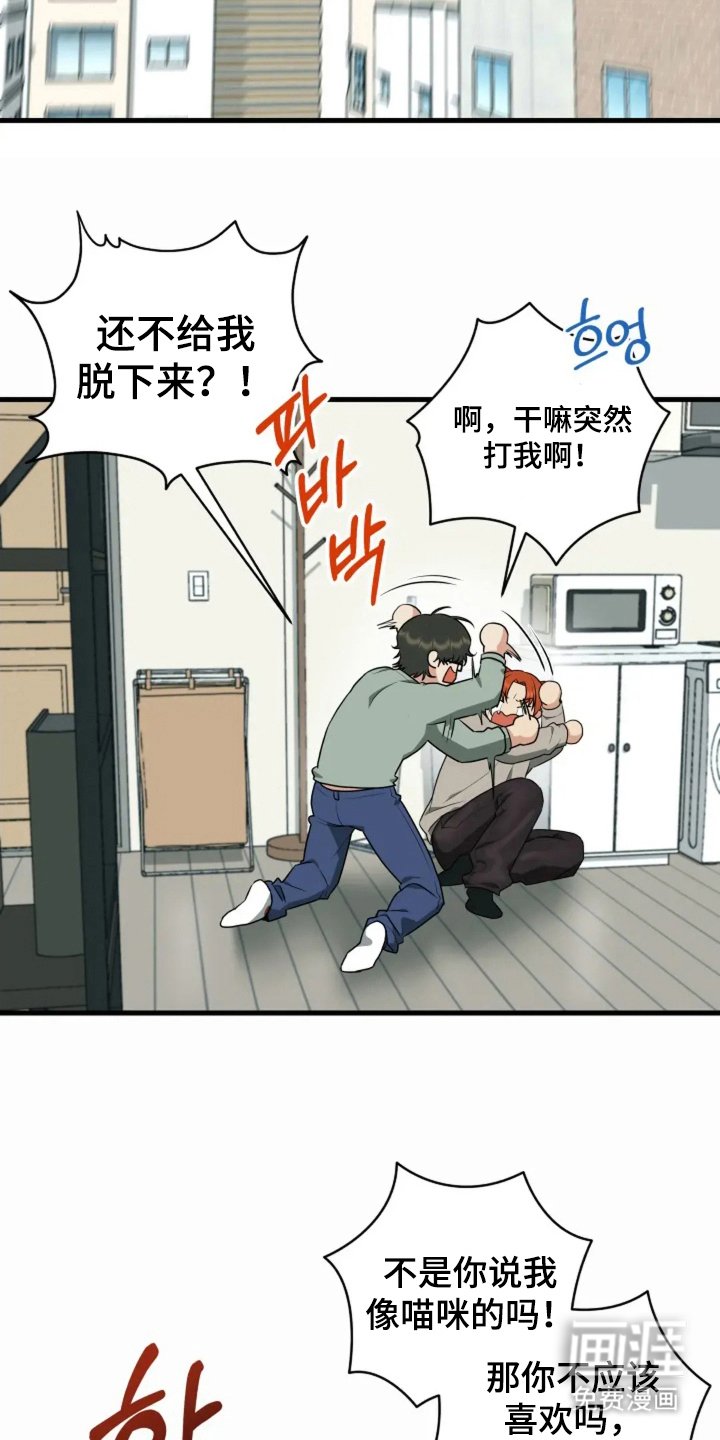 第10章：猫咪