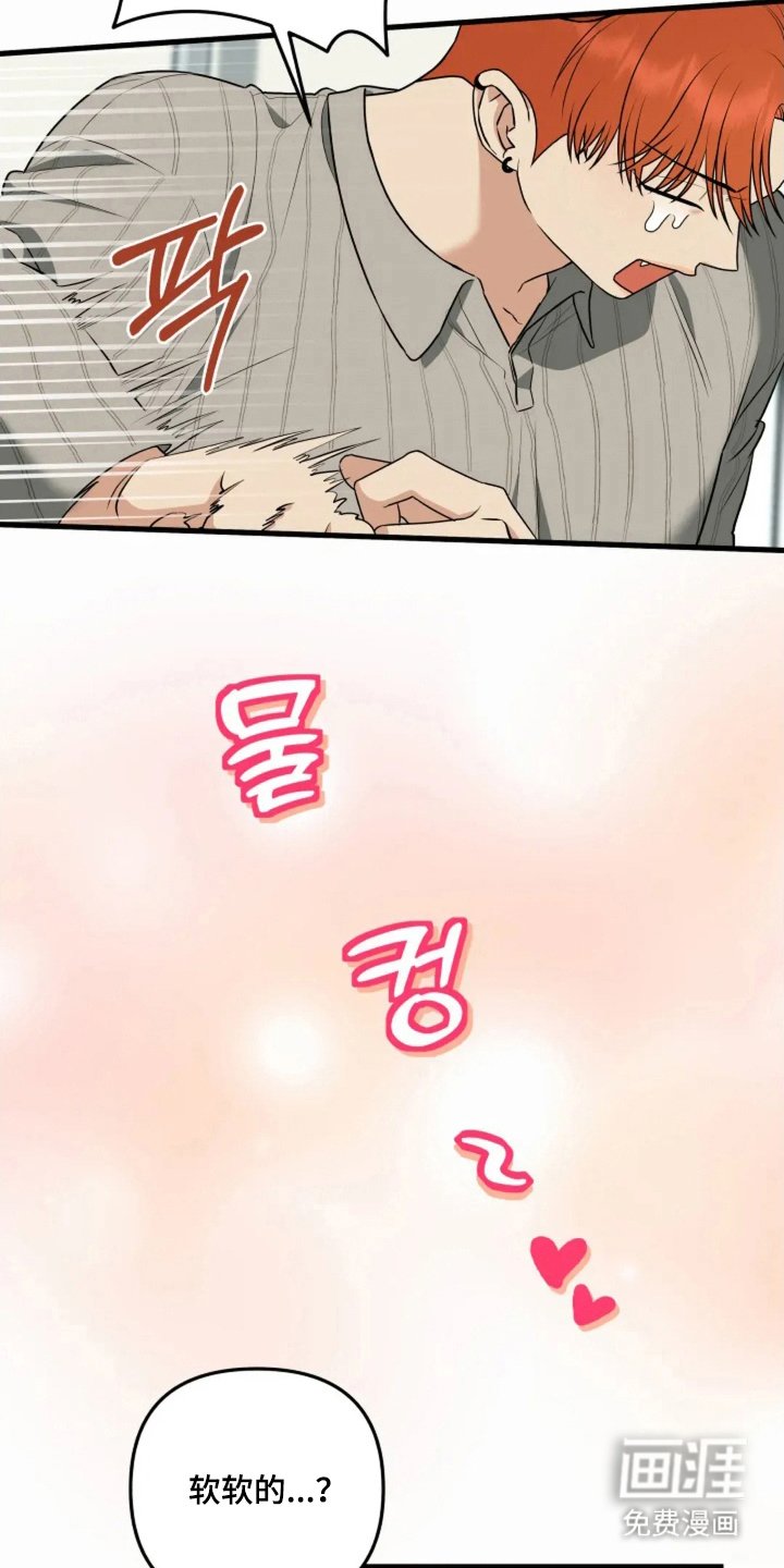 第10章：猫咪
