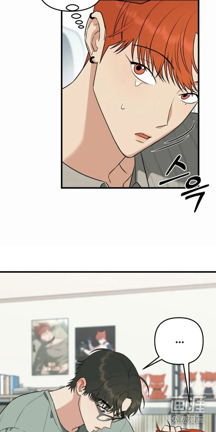 第10章：猫咪
