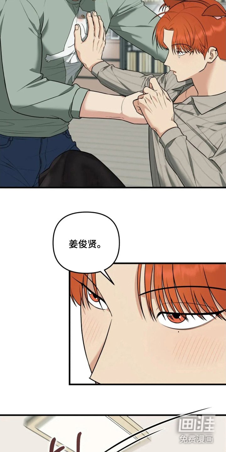 第10章：猫咪